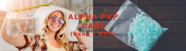прущие грибы Богородицк
