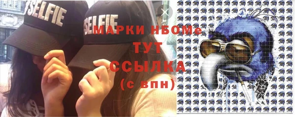 прущие грибы Богородицк