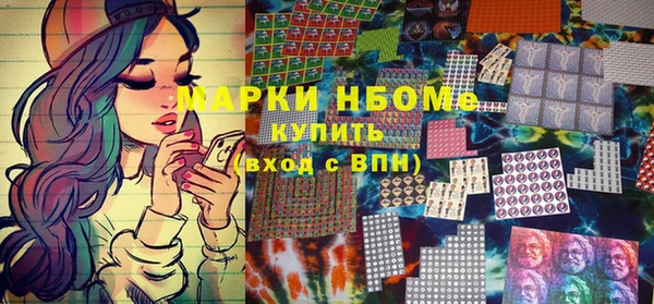 прущие грибы Богородицк