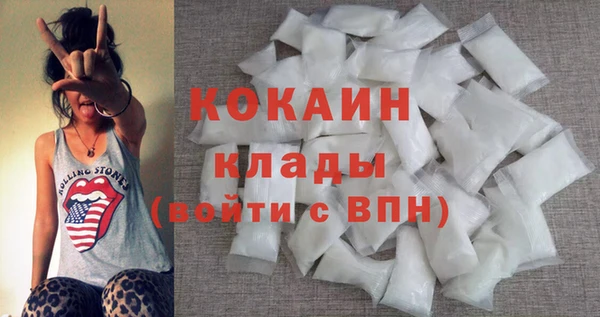 прущие грибы Богородицк