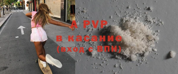 прущие грибы Богородицк
