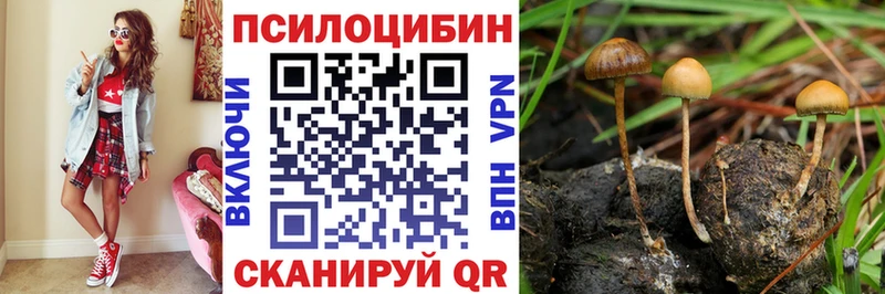 Купить где  Меленки  Галлюциногенные грибы Psilocybine cubensis 
